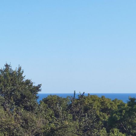 Villa Metatron U Doma Balčik Exteriér fotografie