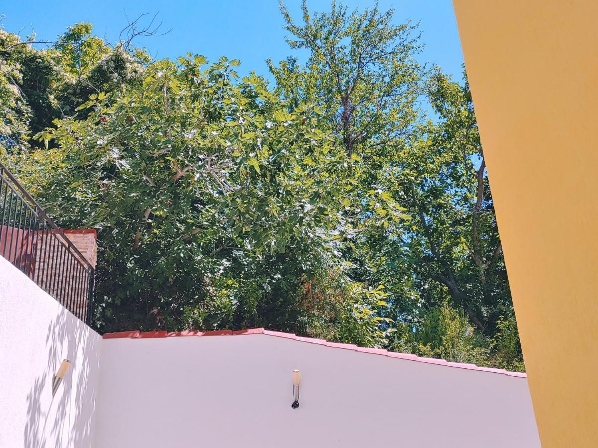Villa Metatron U Doma Balčik Exteriér fotografie